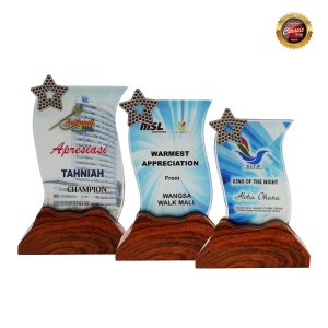 Exclusive Crystal Plaques